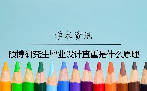 硕博研究生毕业设计查重是什么原理