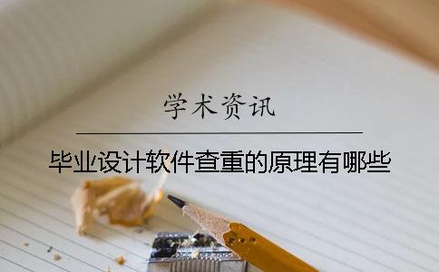 毕业设计软件查重的原理有哪些