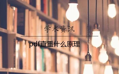 pdf查重什么原理