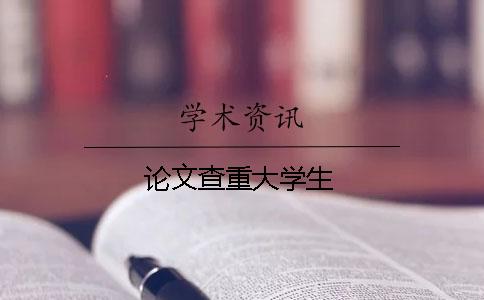 论文查重大学生