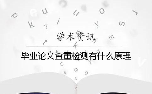 毕业论文查重检测有什么原理