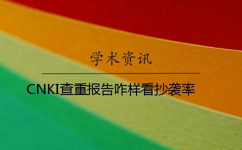 CNKI查重报告咋样看抄袭率？